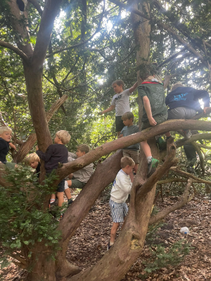 Sint-Martinus den XIIde - Opening 2024